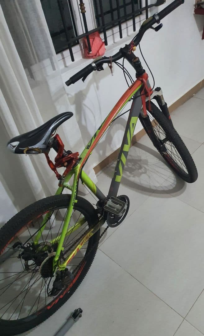 Viva Mountain Bike - Image 1 of 1